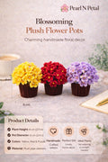 Hydrangea Pot
